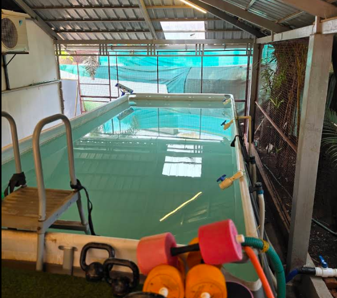 Bodyfit Garage facility